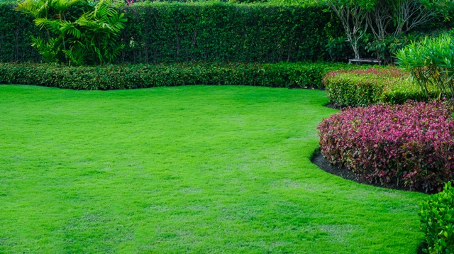 Landscaped Formal ,front yard with garden design